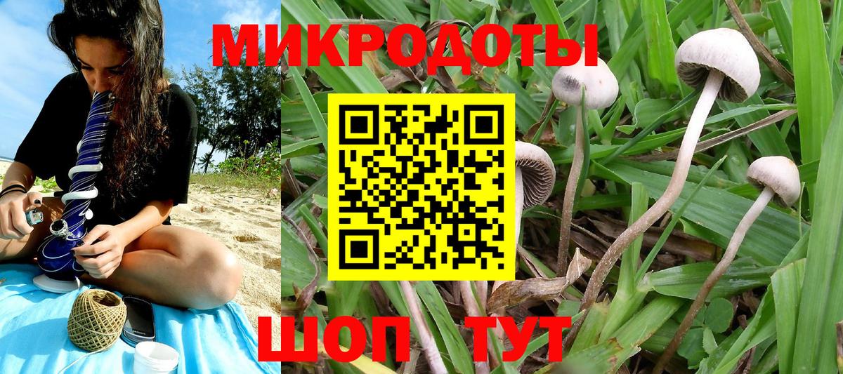 Старая Русса  Галлюциногенные грибы прущие грибы  Вход с VPN 